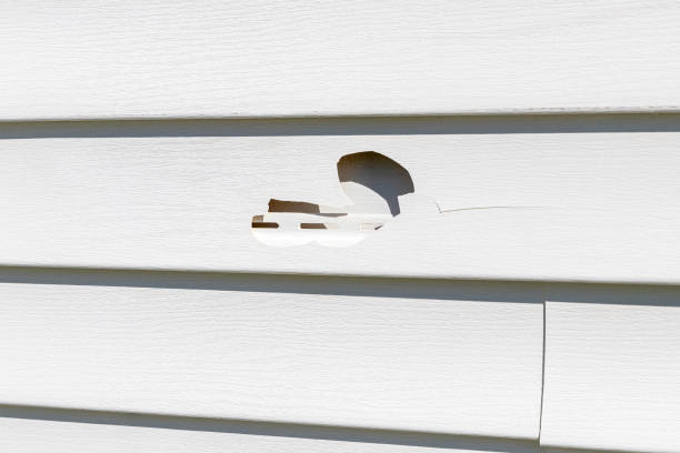 Trusted Oroville, CA Junk Removal Experts